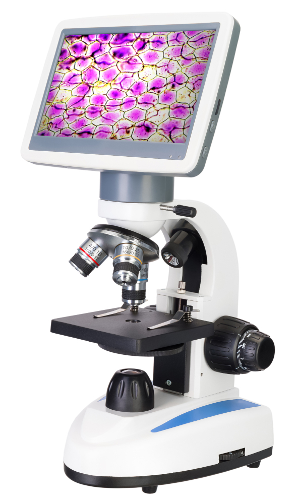 LEV-78902_1.jpg