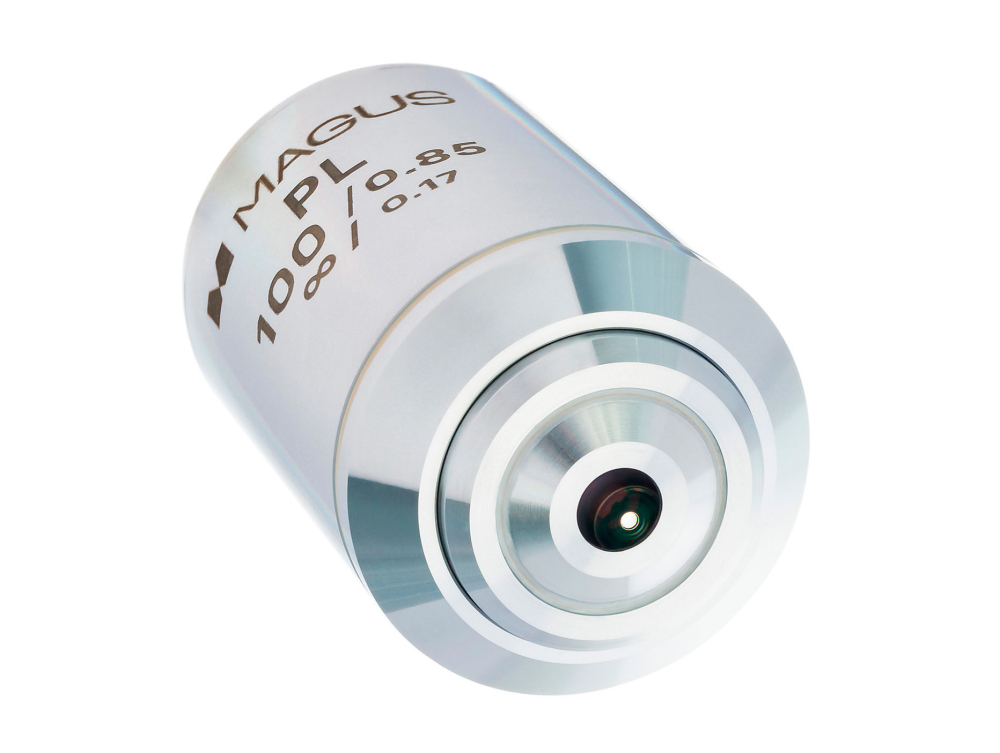 LEV-83452_3.jpg