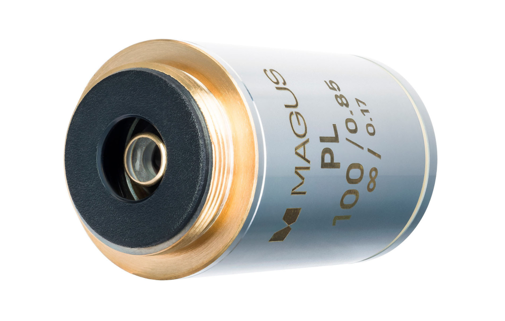 LEV-83452_4.jpg