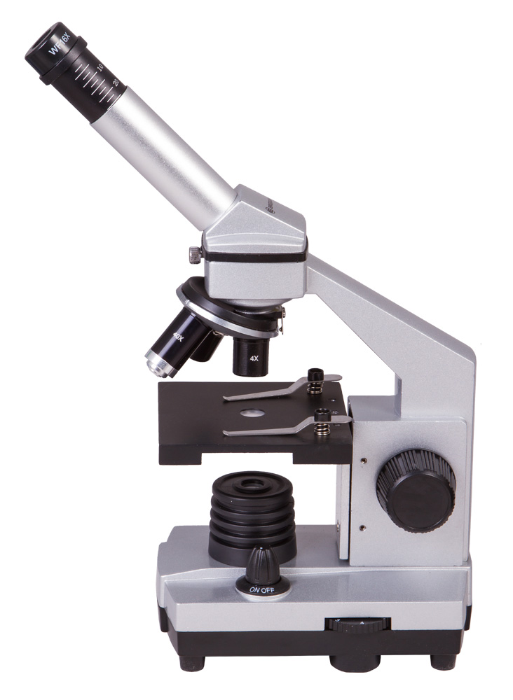 LEV-26753_2.jpg