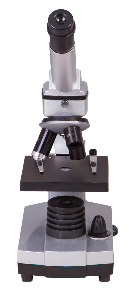 LEV-26753_4.jpg