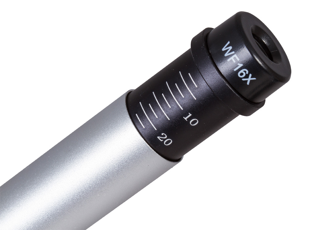LEV-26753_5.jpg