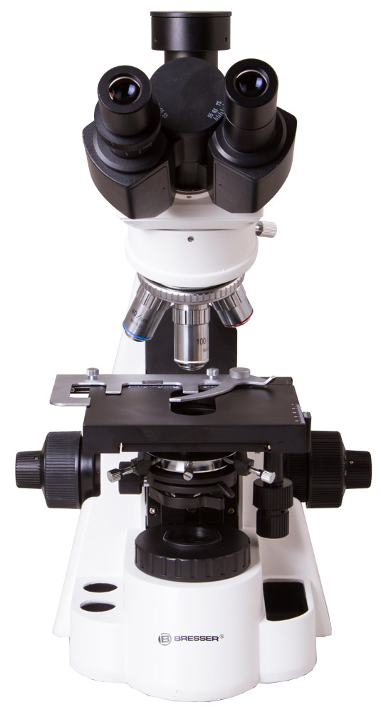 LEV-62563_4.jpg