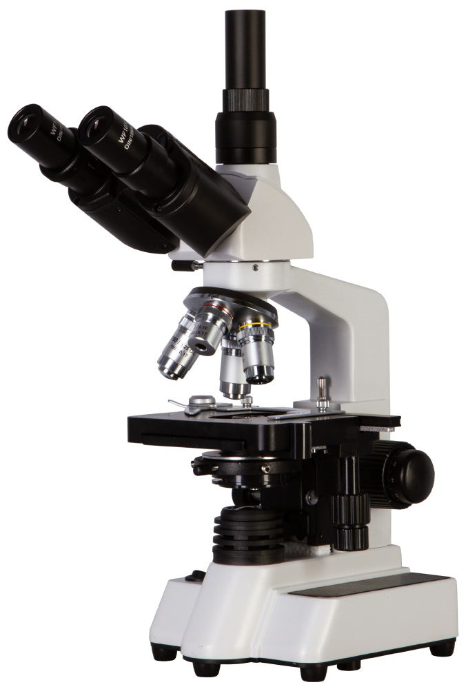 LEV-62567_3.jpg