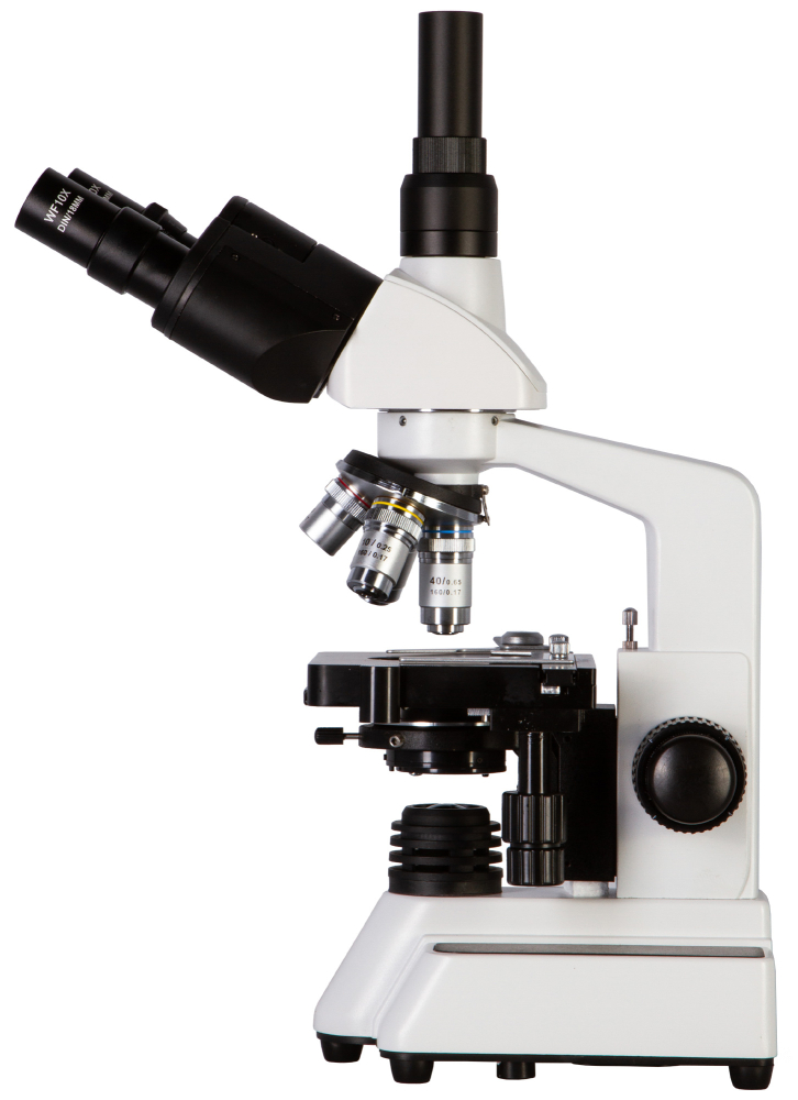 LEV-62567_4.jpg