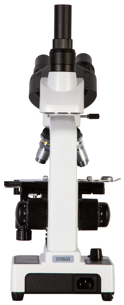 LEV-62567_5.jpg