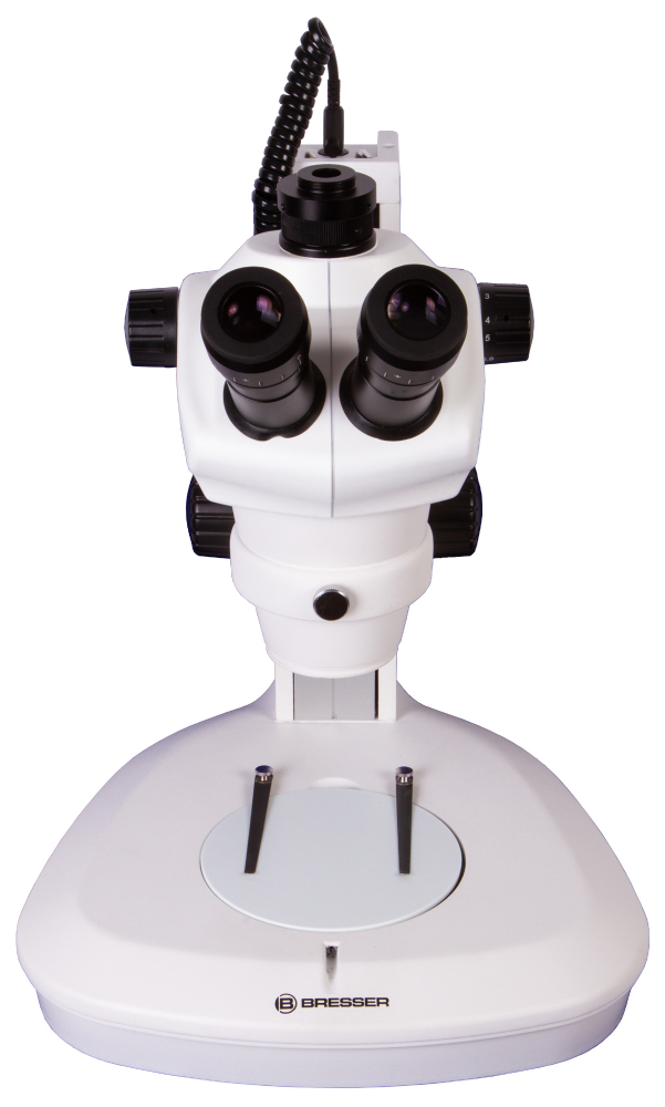 LEV-74317_4.jpg