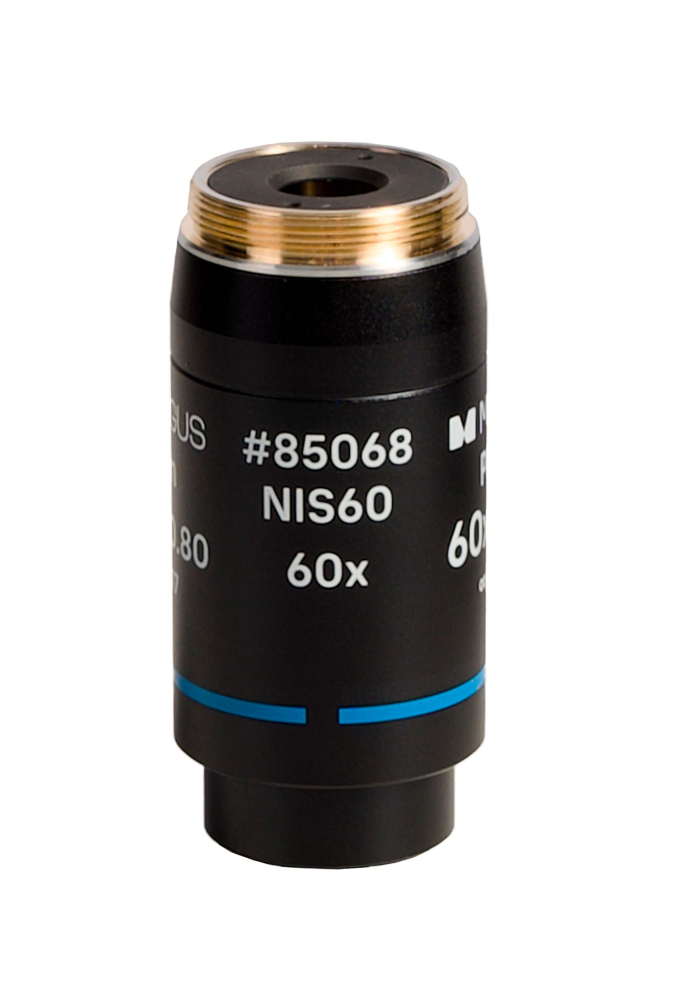 LEV-85068_2.jpg