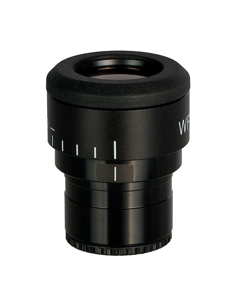 LEV-85088_3.jpg